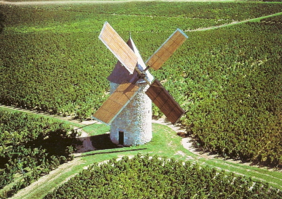 �{���h�[���C���E�u���S�[�j�����C���E���̑��̃t�����X���C���i�V�����p�[�j���܂ށj�E���̑��̍��̃��C�� �E�B�X�L�[ �A���H�ށE�C�^���A�H�i